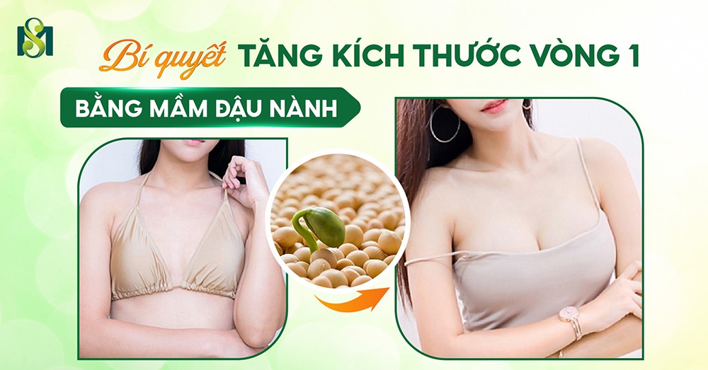 Bí quyết tăng kích thước vòng 1 bằng mầm đậu nành